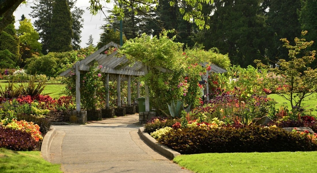 Price of Stanley park access