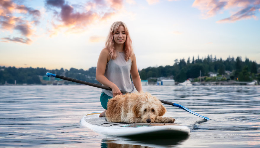 Tester les activités nautiques avec son chien Femme faisant du paddle avec son chien sur un lac au Canada