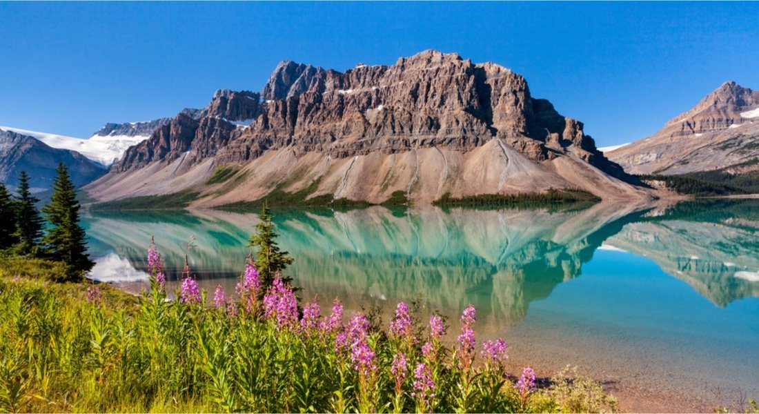 Bow Lake location