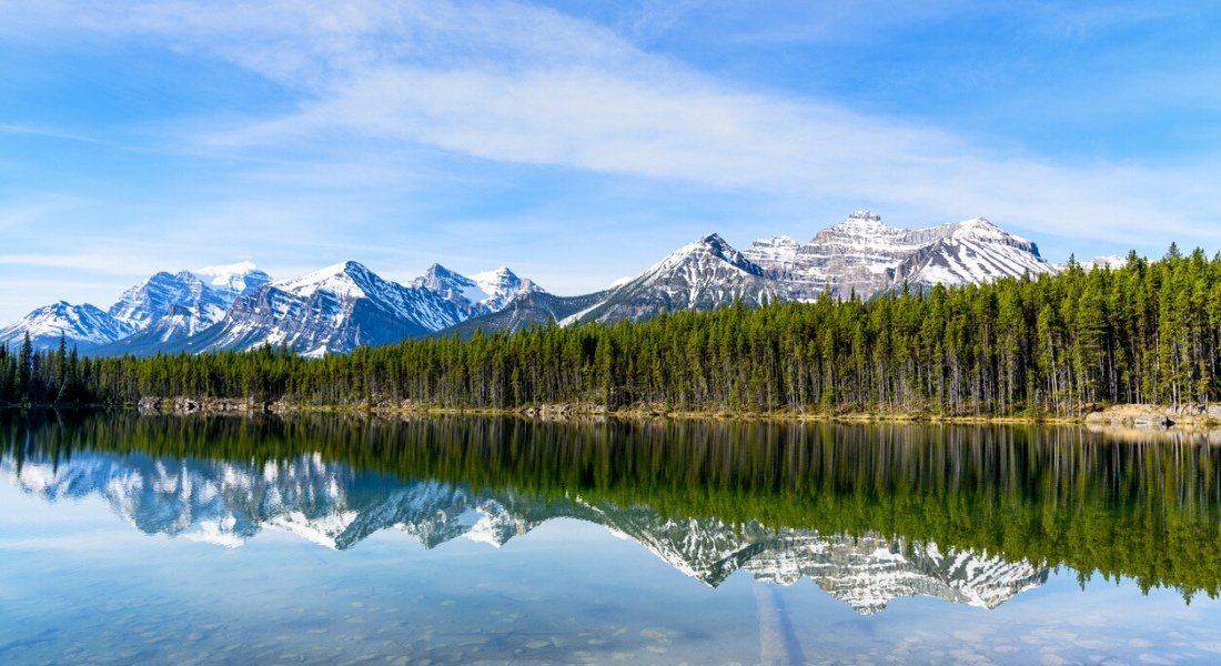 Herbet lake trail information