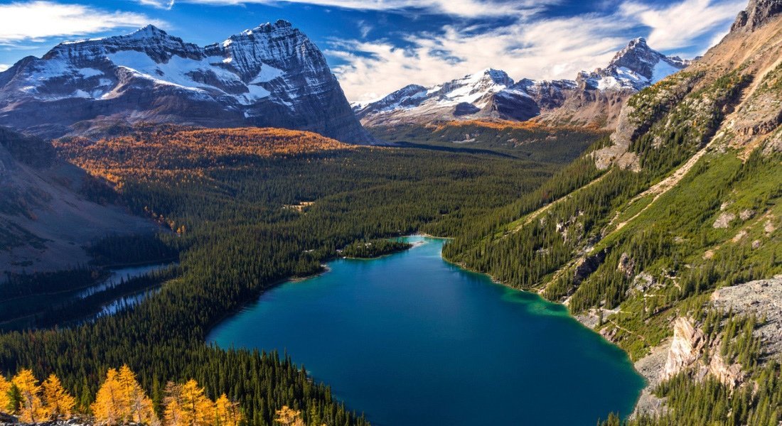 Vue sur le lac O'Hara en automne