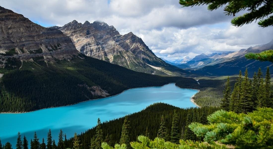 Lac Peyto