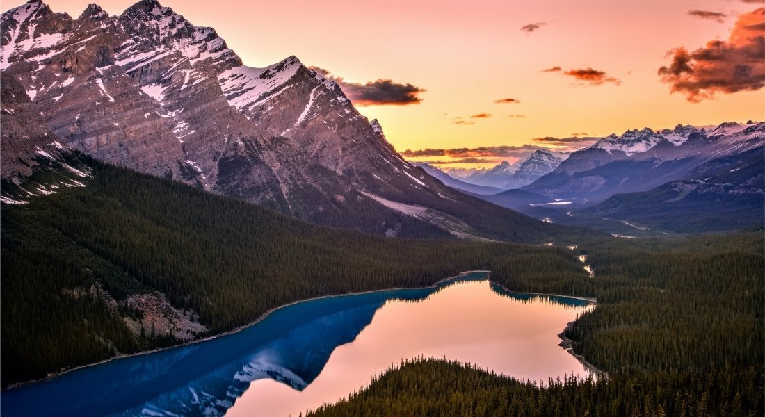 Lac Peyto Iconic lake of Western Canada