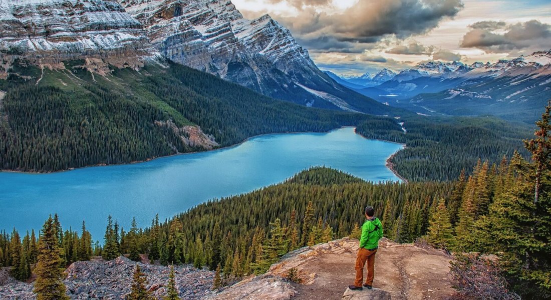 Canadian Rockies wolf lake