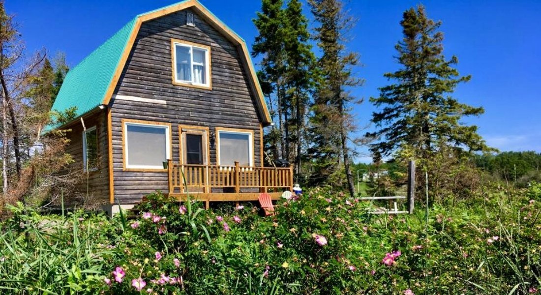 Wooden cabin in a flower-filled environment