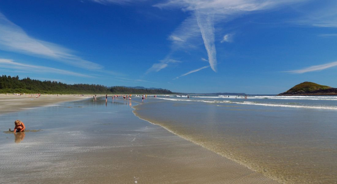 Plage à marée basse avec de la végétation en arrière-plan