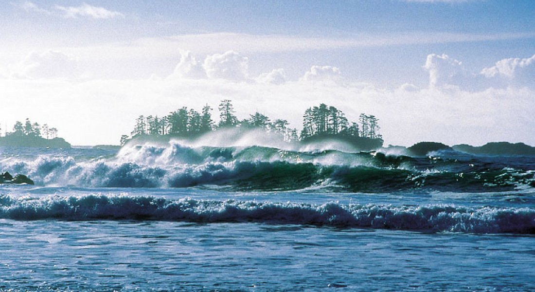 pacific rim national park visitor centre