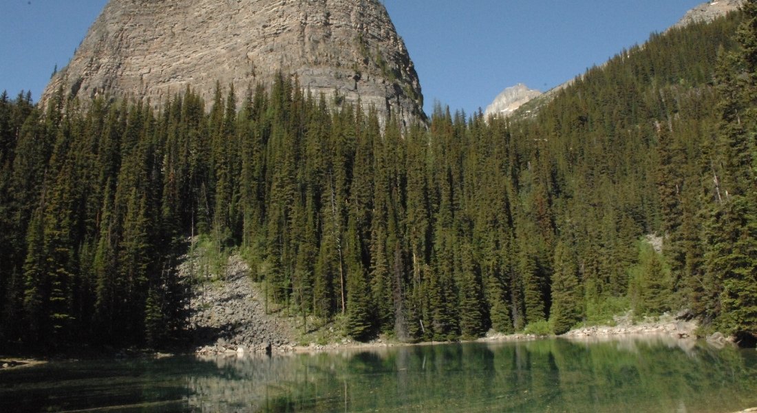 randonnée lake agnes tea house lac louise