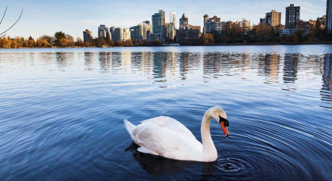 lost lagoon stanley park