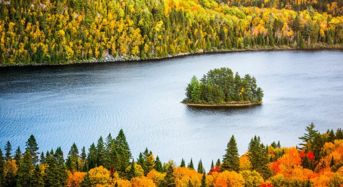 sentier dans le parc de la Mauricie
