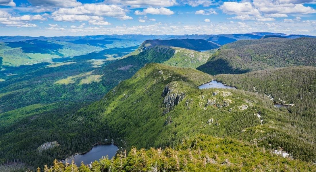 voyage en Gaspésie en famille