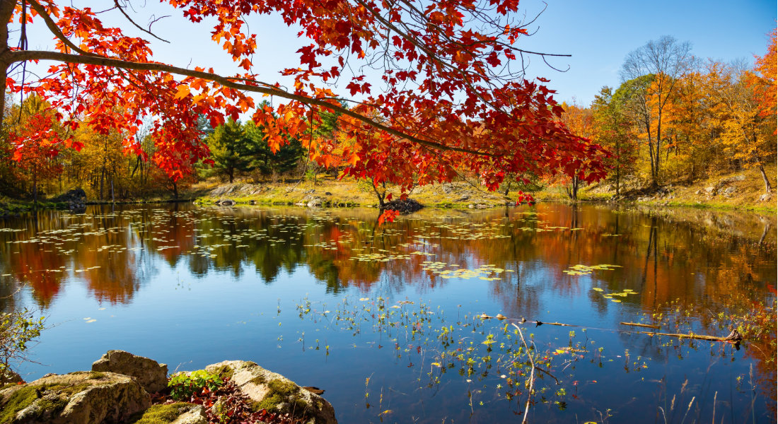 Road trip Eastern Townships Lake in Frontenac National Park in Quebec