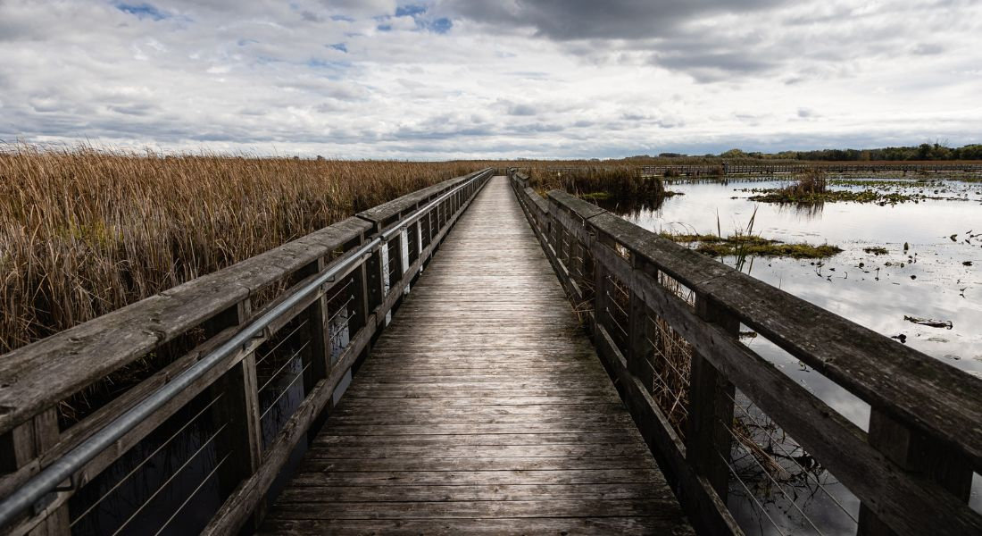 Point Pelee National Park Canada Boardwalk in Point Pelee National Park