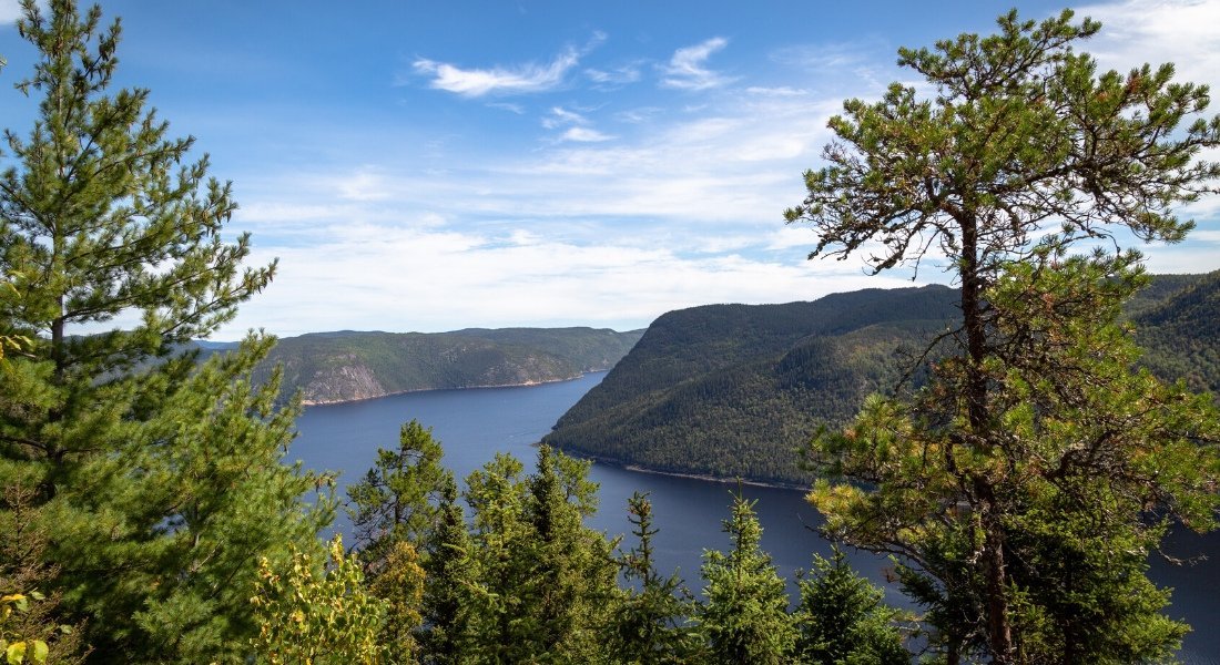 Vue panoramique sur le fjord en été