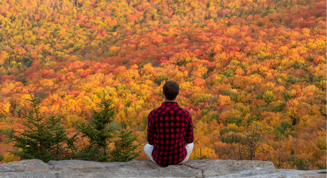 Eastern Townships in Canada Man from behind looking at nature in the Eastern Townships in Canada