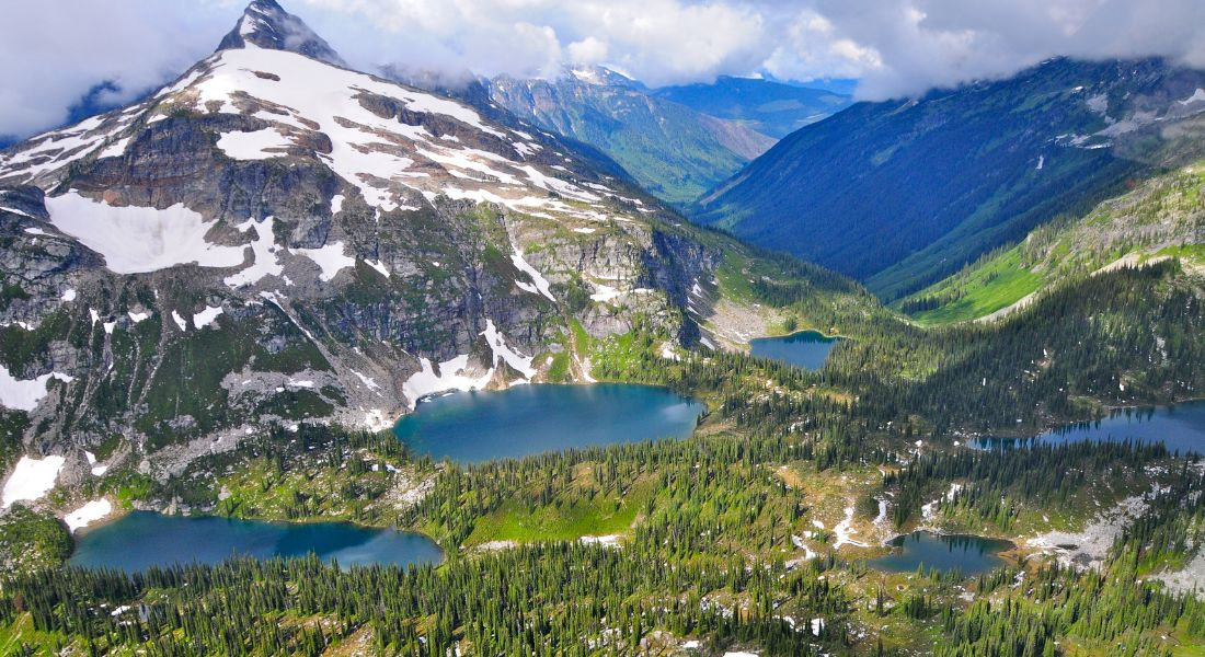 Le parc du Mont-Revelstoke Road trip Vancouver