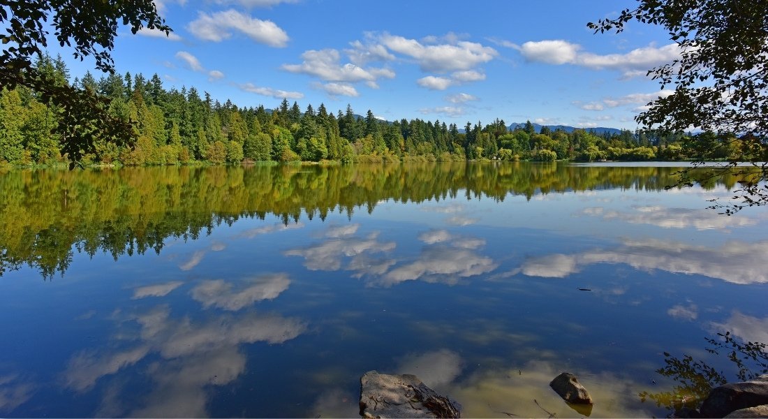 What to do in Stanley Park Vancouver