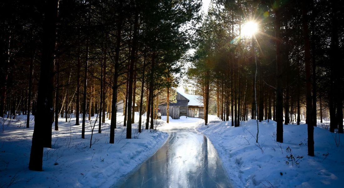 Sentier glacé de patinage en forêt Sentier glacé de patinage en forêt