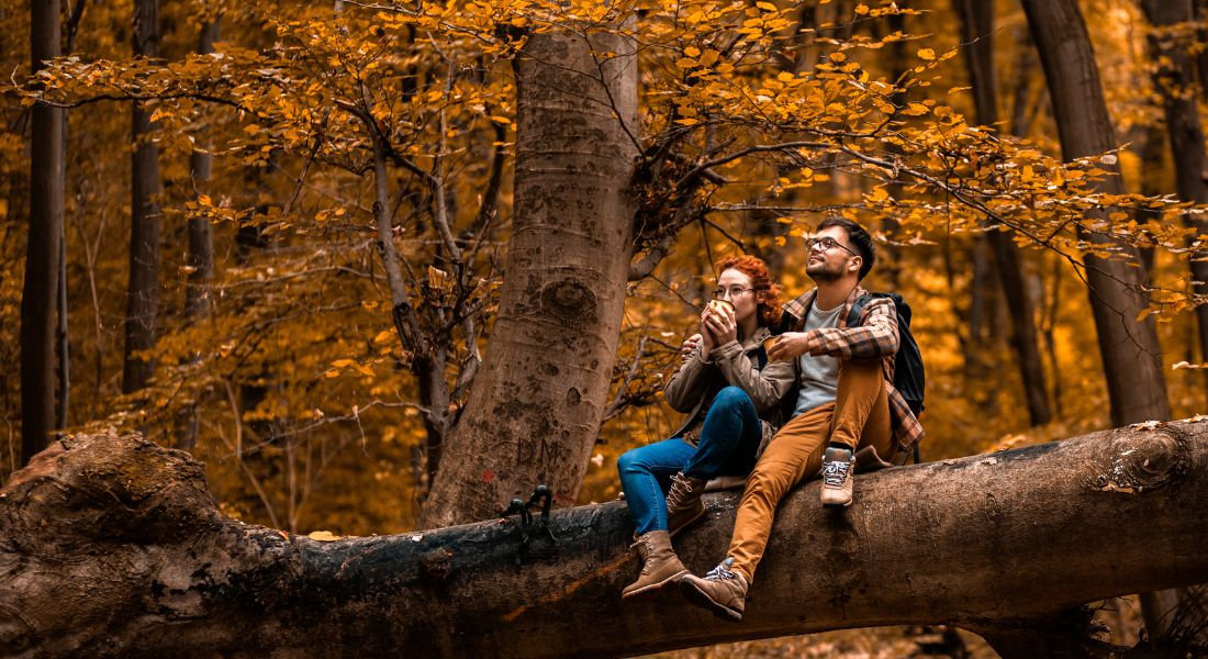 Pique-nique Parc national de la Jacques-Cartier Deux personnes en train de pique-niquer sur un tronc d'arbre dans la forêt à l'automne