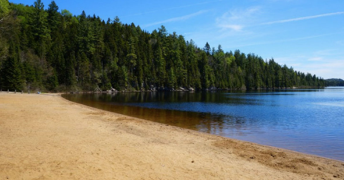 Plage dans le parc de la Mauricie