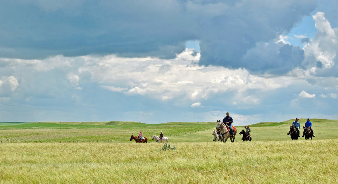 cowboys sur des chevaux dans les Prairies Canadiennes