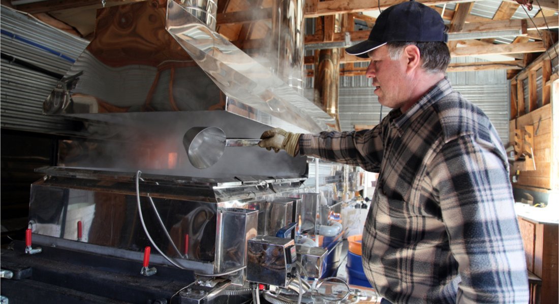 chauffe du sirop d'érable dans une cabane à sucre
