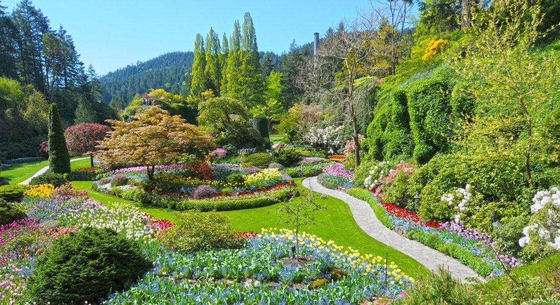 Butchart Garden île de Vancouver
