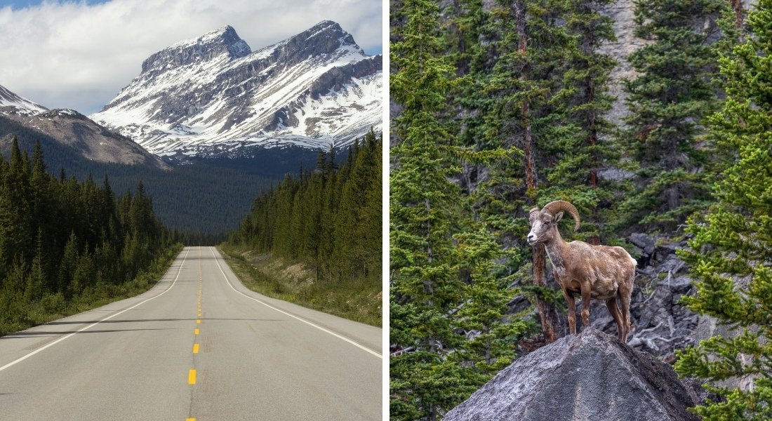 route panoramique ouest canadien