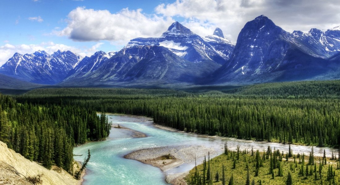 Vue sur la rivière Athabasca