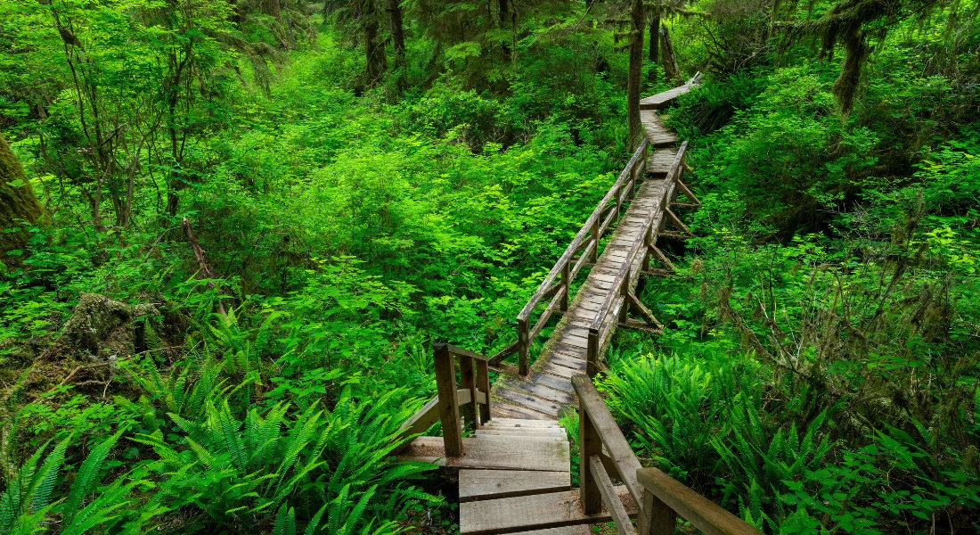 Best hike in pacific rim national park