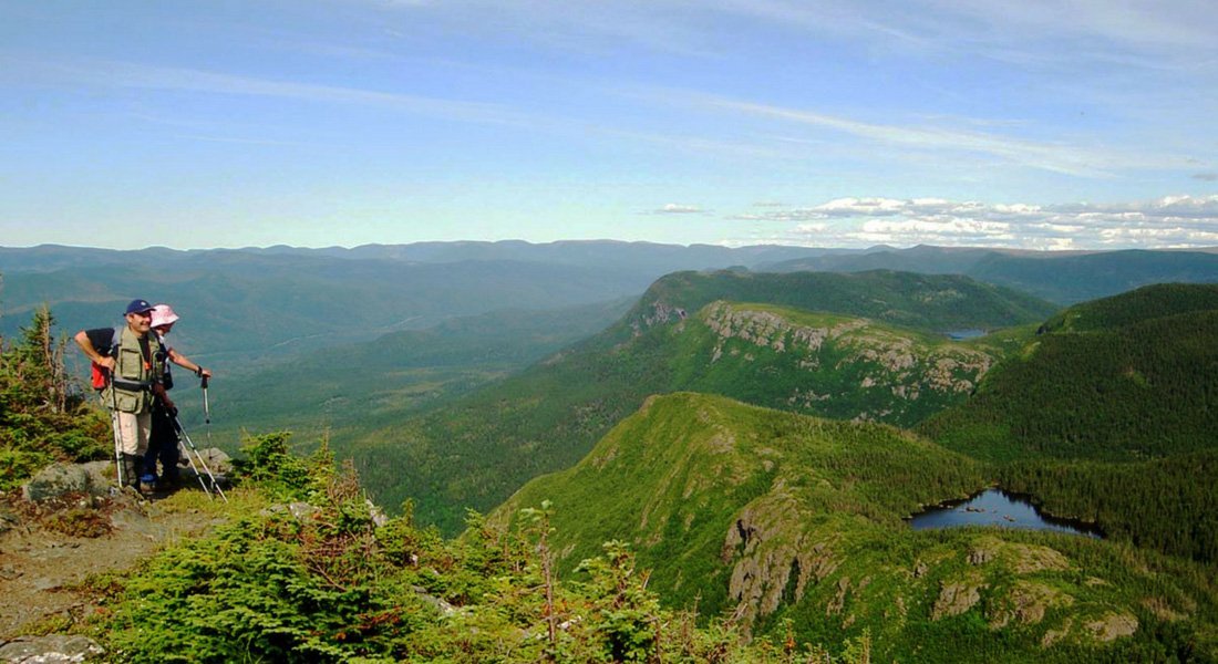 Panorama sur le parc de la Gaspésie depuis le sentier du Mont Albert