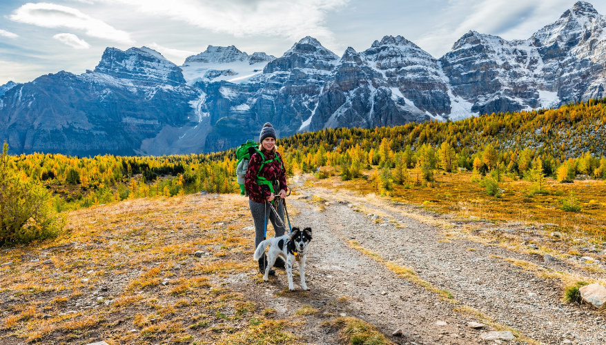 Explorer les sentiers ensemble Randonneuse avec son chien sur un sentier dans les Rocheuses canadiennes