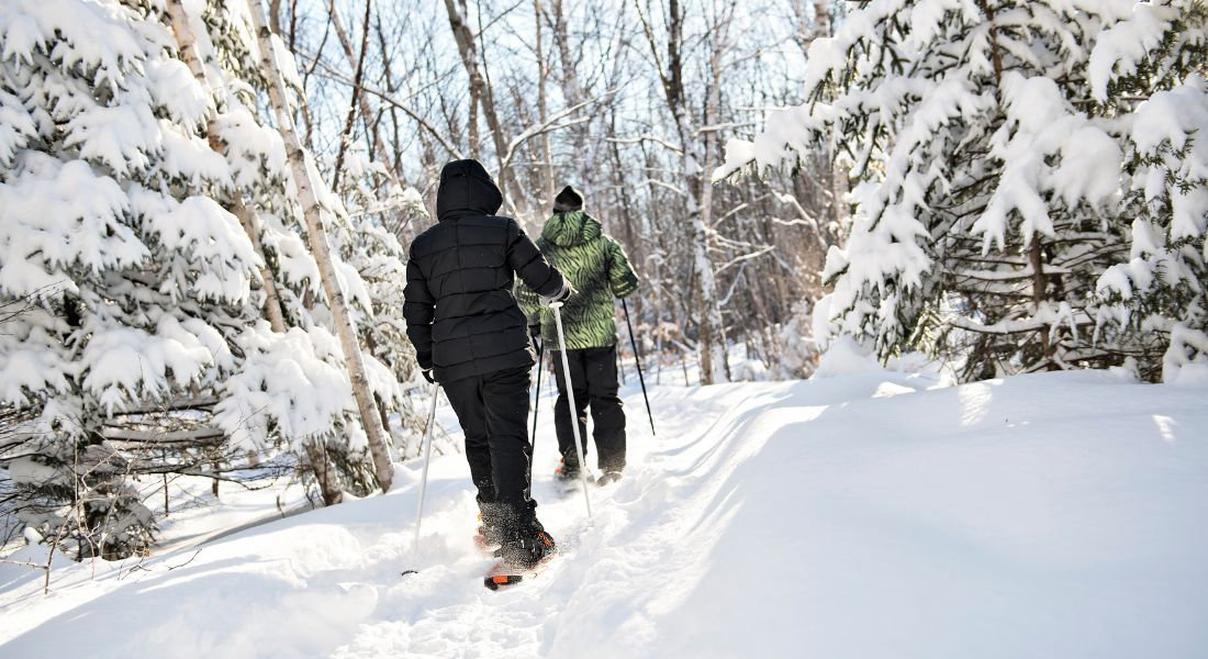 Raquettes à neige Jacques-Cartier Deux personnes faisant des raquettes à neige dans la forêt