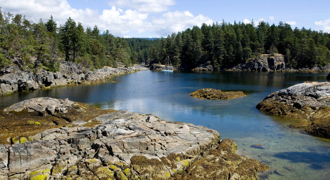 Road trip to North Vancouver Island
