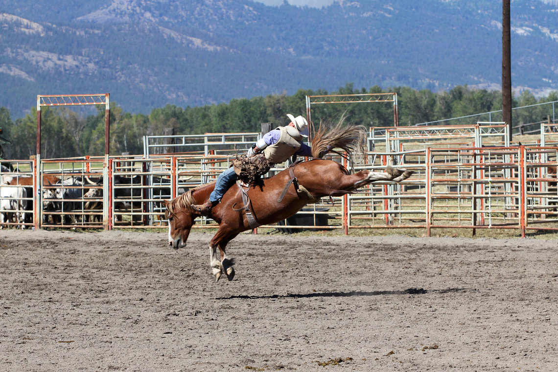 Cowboy en train de faire du rodéo sur un cheval