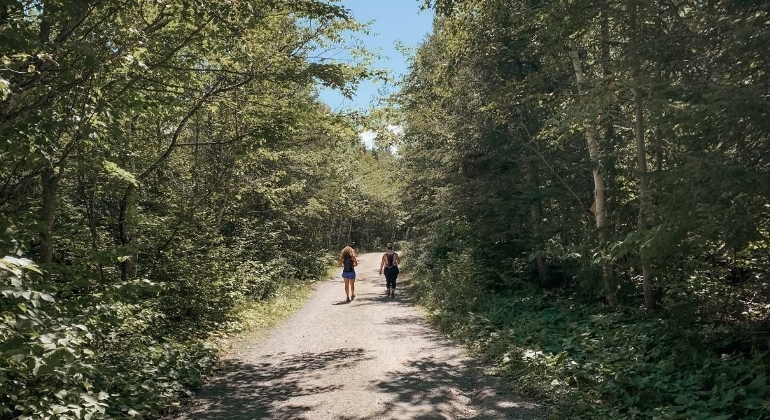 sentier de retour du Pic Champlain 