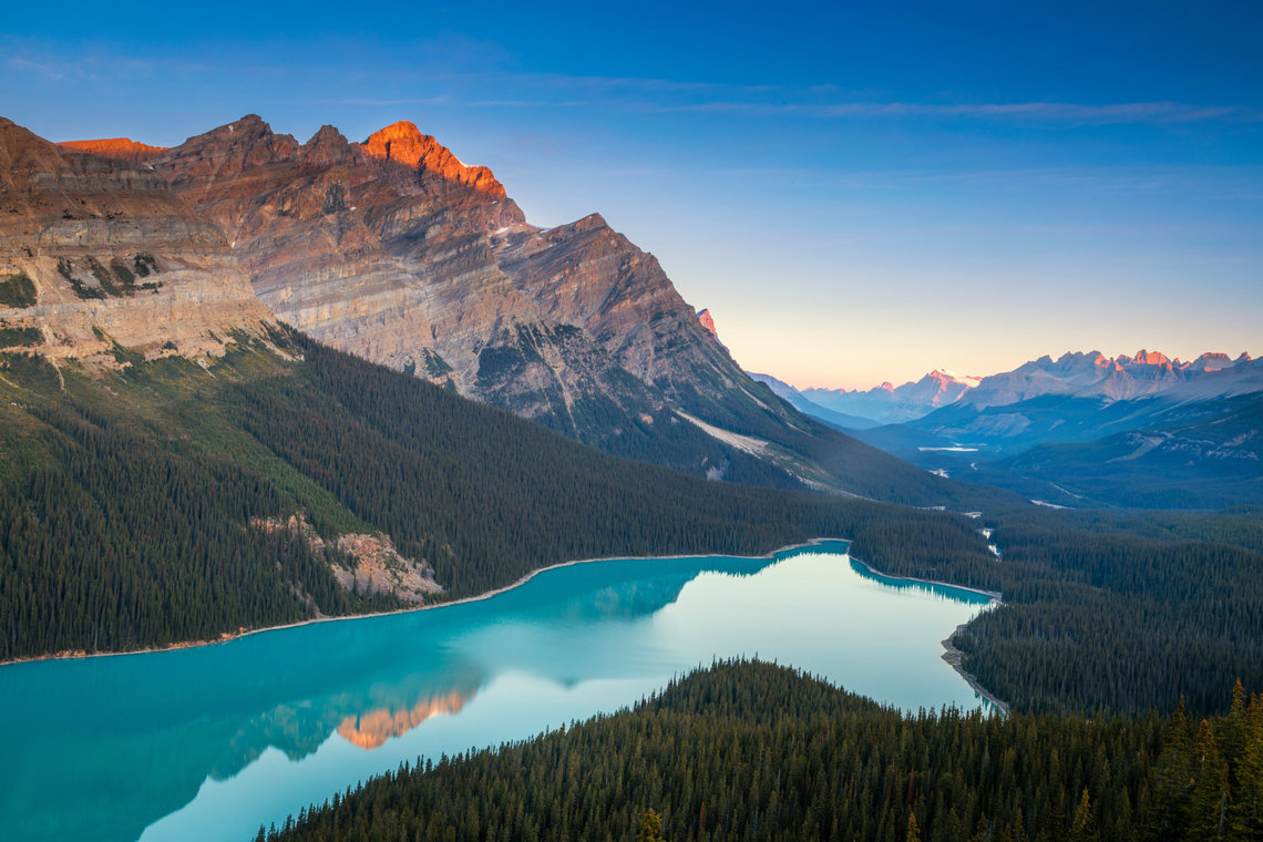 Panoramic view of Peyto Lake, the shape of a wolf's head is very clearly visible