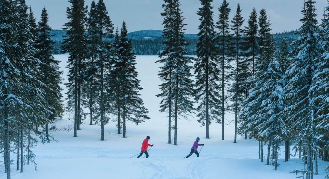 Ski de fond dans la Réserve des Laurentides Ski de fond dans la Réserve des Laurentides