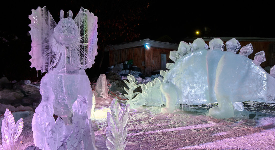 Festival Saint-Côme en Glace Festival Saint-Côme en Glace