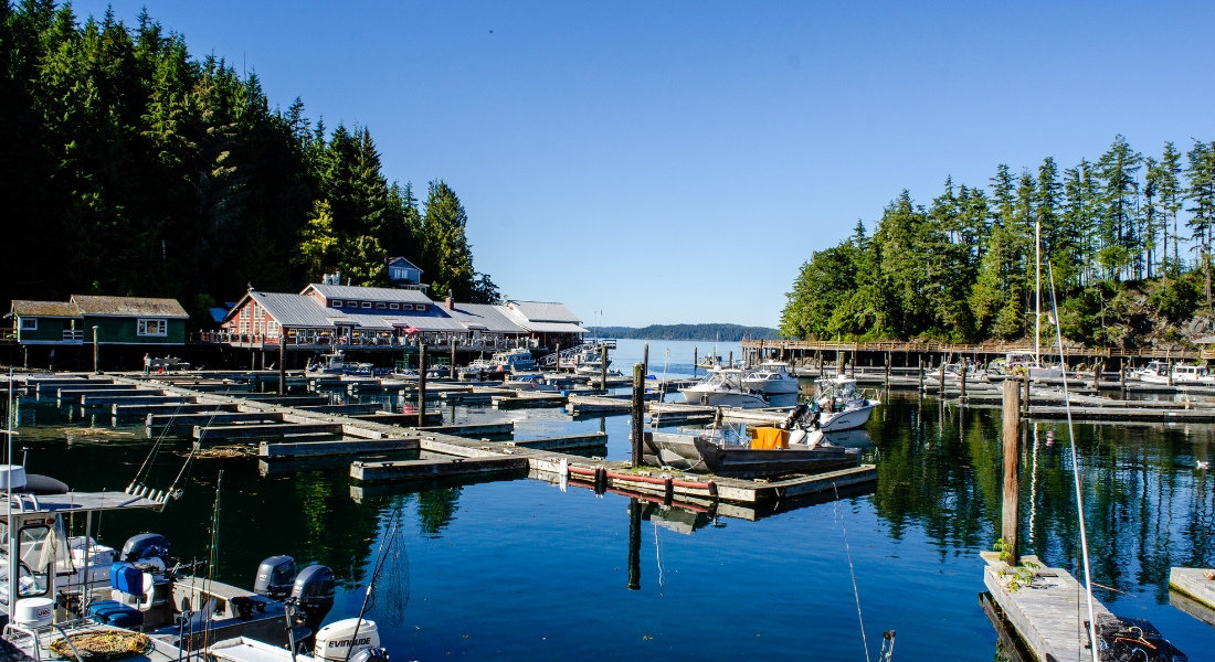 Best road trip on the Vancouver Island Telegraph Cove