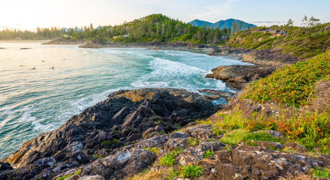 Scarlett Johansson et Neil Patrick Harris ont craqué pour Tofino Plage et forêts à Tofino dans la Pacific Rim, Ile de Vancouver