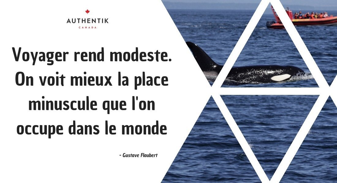 Voyager rend modeste. On voit mieux la place minuscule que l'on occupe dans le monde. 