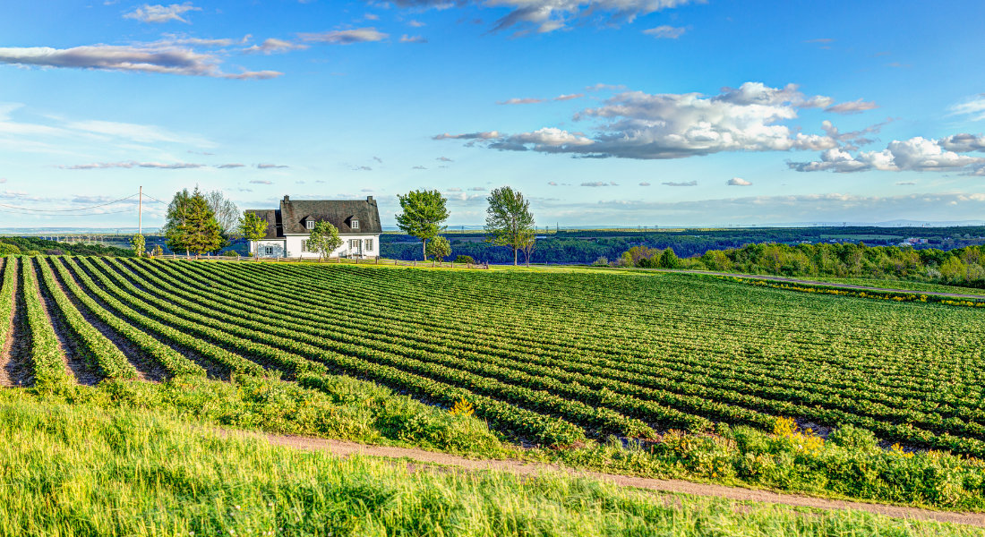 Île d'Orléans house and fields on Île d'Orléans