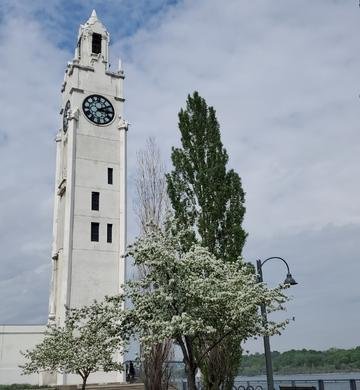 Clock tower in Old Montreal