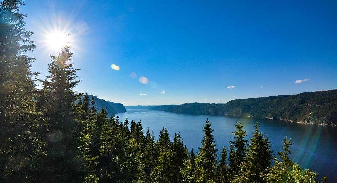 road trip de 3 semaines en famille au Québec
