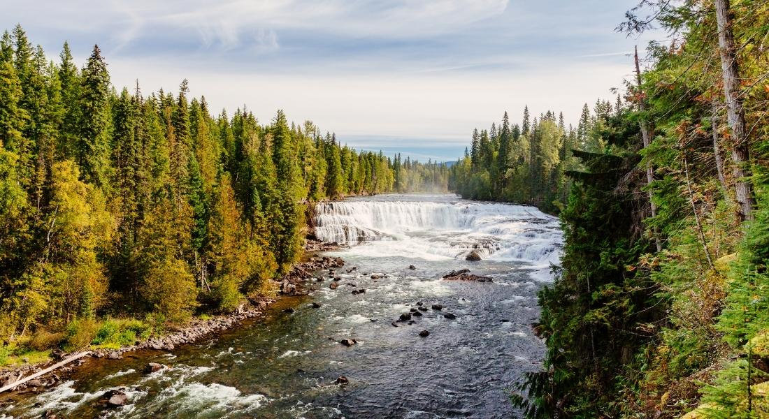 Dawson Falls in Wells Gray Park Wells Gray Park Guide