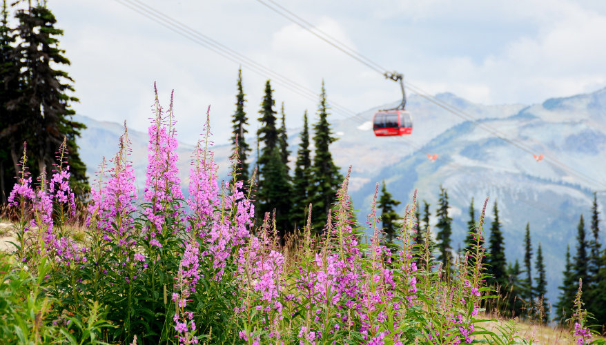Gondola in Whistler