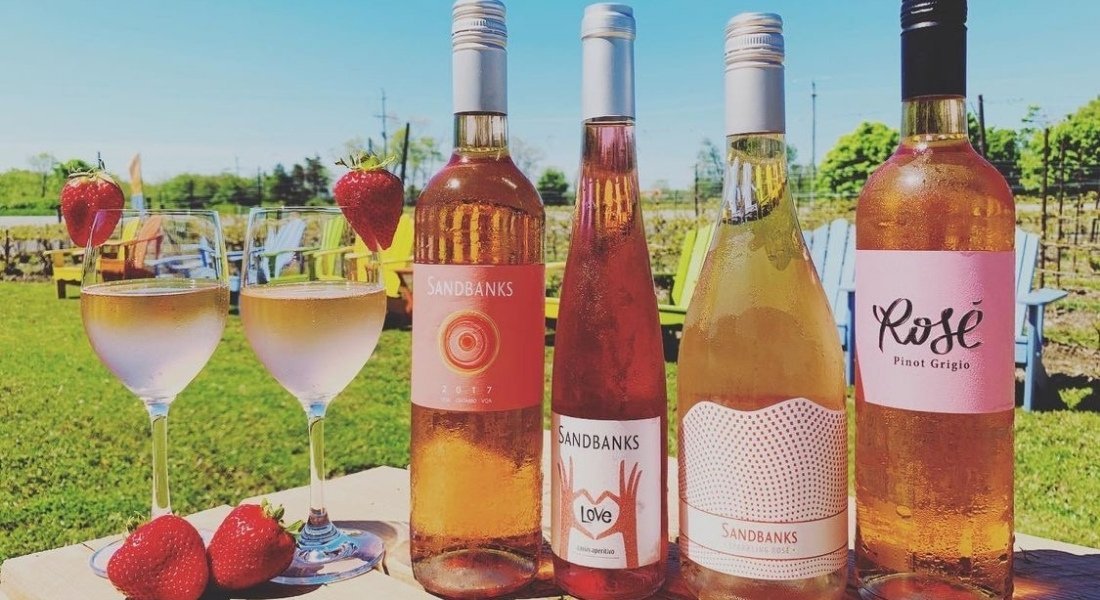 What to do in Prince Edward County