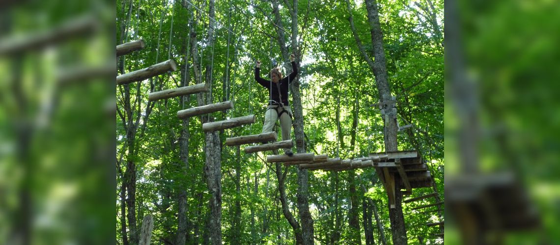 Raven Master Forest