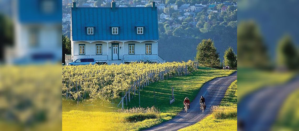 Découverte de l'île d'Orléans à vélo 